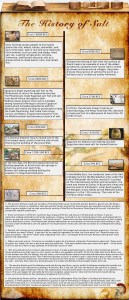 salt 27 history