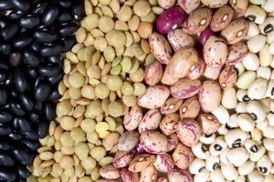 aust bush bean 1