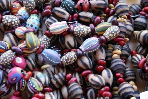 aust bush bean 2