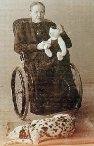 steiff 7