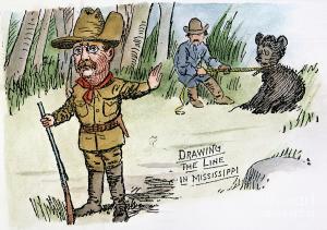 teddy roosevelt 4