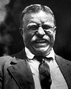 teddy roosevelt 7
