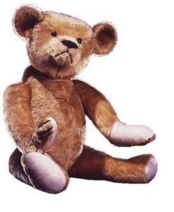 teddy roosevelt 8 smithonian bear