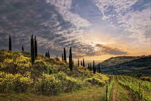 toscana 2