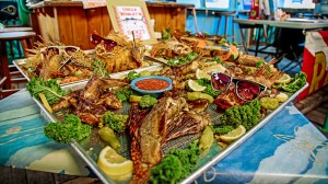 key-west-13a-lionfish-buffet