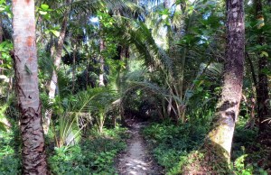 nan-madol-13-path-to