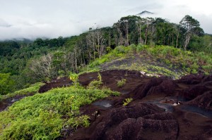 nan-madol-34-nipai-rock-pohnpei