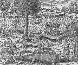 pohnpei-19a-cosmographie-universelle-1575