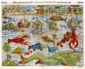 pohnpei-21-sebastian-munsters-chart-of-sea-monsters-c-1539-carta-marina