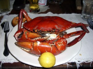 pohnpei-2b-mangrove-crab