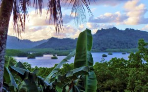 pohnpei-9-east-side