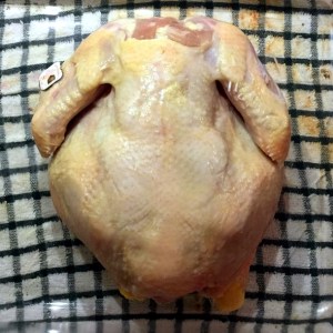 spatchcock-10a