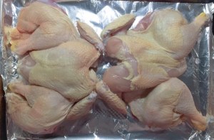 spatchcock-10c