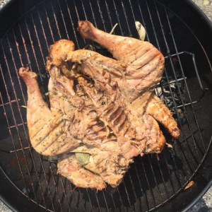 spatchcock-10f