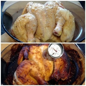 spatchcock-12