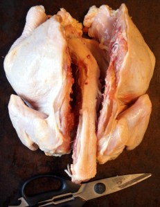 spatchcock-3b