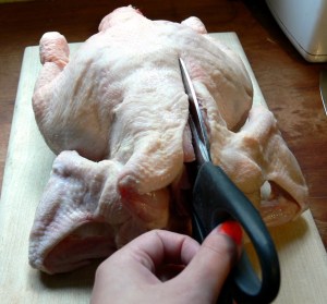 spatchcock-3c