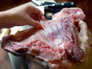 spatchcock-3e