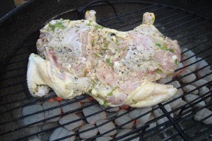 spatchcock-5