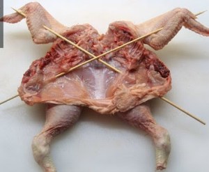 spatchcock-5b