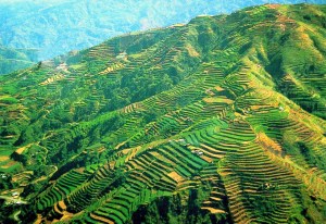 banaue-1
