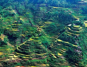 banaue-3