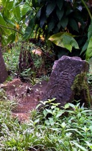 kosrae-14c1