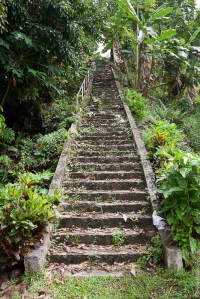kosrae-14d
