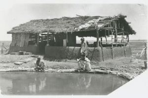 marree-1