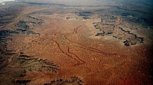 marree-man-1-daily-telegraph