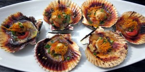peru-4f-scallops