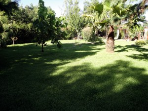 dsc02280