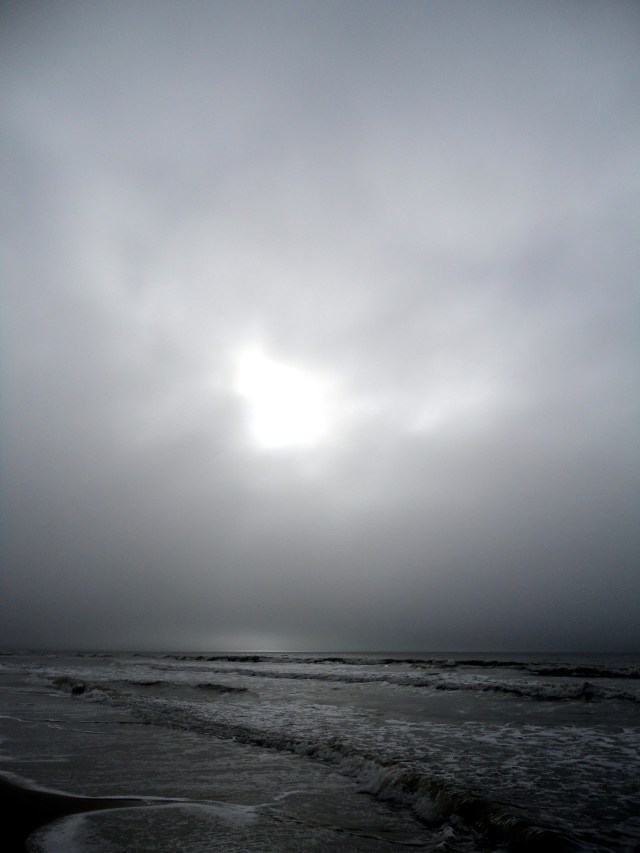 dsc02290