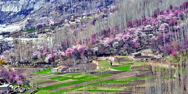 hunza-5