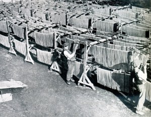 spaghetti-15-drying-sp-italy1900