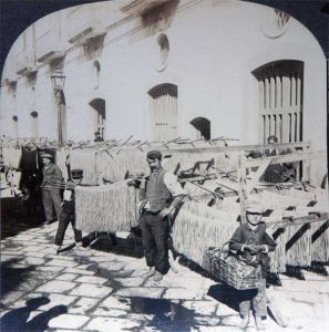 spaghetti-15a-napoli-1905