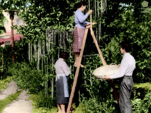 spaghetti-9